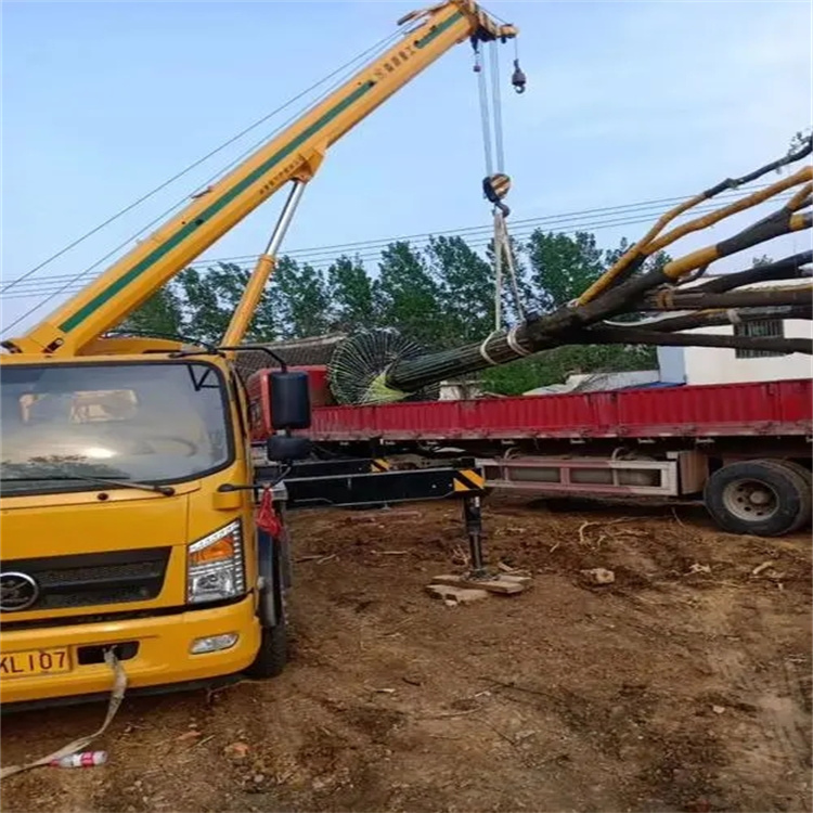 潜江经济开发区100吨吊车租赁费用怎么算？3大关键因素+省钱技巧全解析